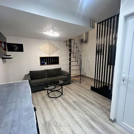 Maison Appartement Triplex Avec Jacuzzi Et Sauna Сент-Этьен Экстерьер фото