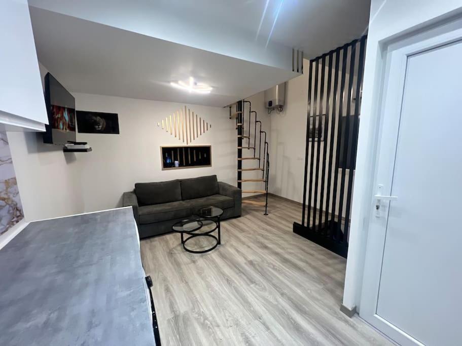 Maison Appartement Triplex Avec Jacuzzi Et Sauna Сент-Этьен Экстерьер фото